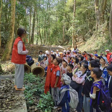 拥抱大自然·与春天同行——记把者岱小学2023年春季学期春游活动