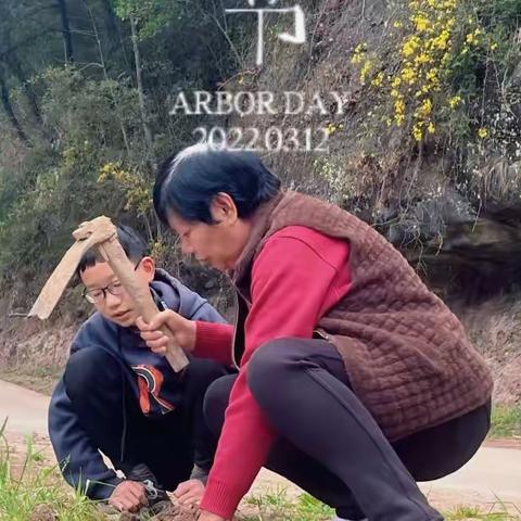 春风十里，不如一抹绿意