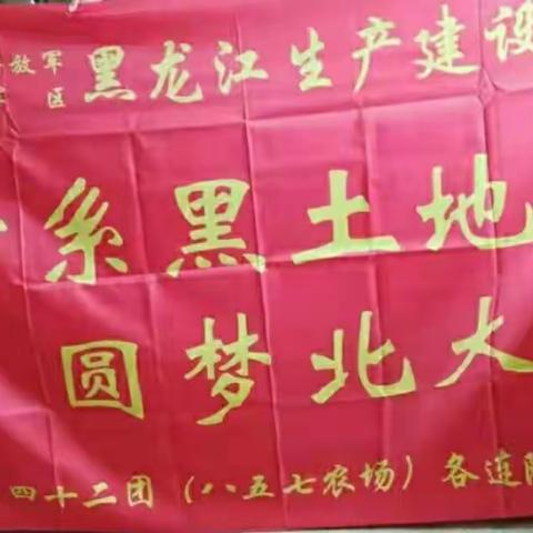 情系黑土地  圆梦北大荒2019年7月22日