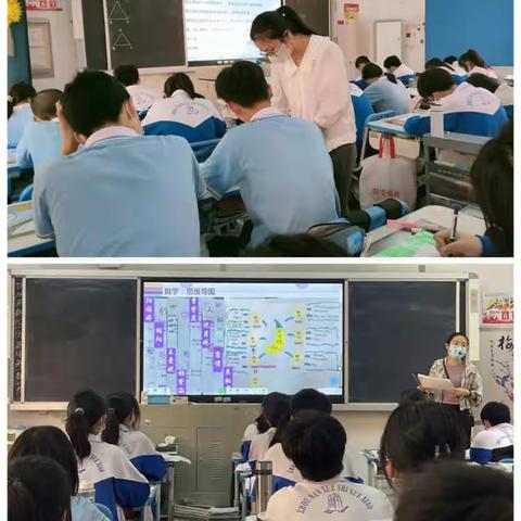 教学园地勤耕耘，视导指引明方向