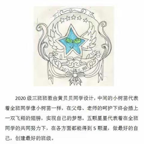 隆广初级中学2020级三班班徽设计大赛圆满结束