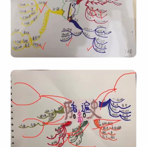 2020.1月           思维导图精英班第一阶段小结