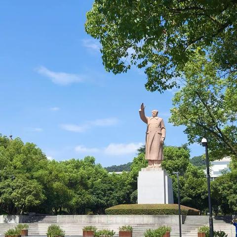 浙川奔流，大有风华——浙大行