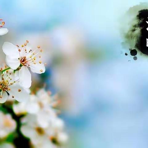 折柳清明行，哀思寄深情—曲阜市田家炳中学七年级优秀征文展