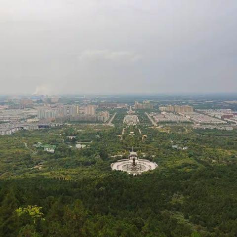 育儿沙龙凌云队合作学习报告（22.10.15）