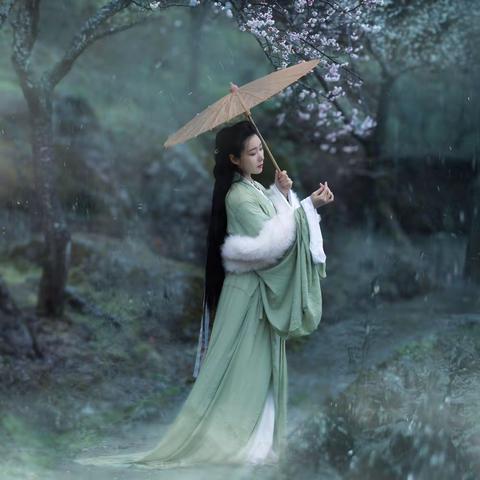 烟雨乌梅花