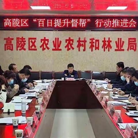 高陵区召开“百日提升督帮”行动推进会