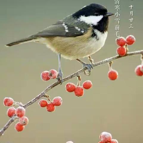 舞钢市铁山营街小学安全排查