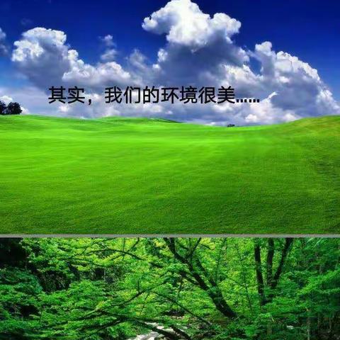 浙豫第三幼儿园大三班——植树节活动