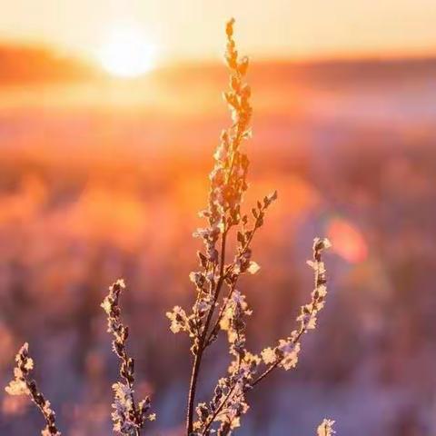 家长护送，爱心启航