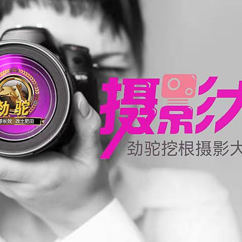 第七届挖根摄影大赛第八期入围作品展播