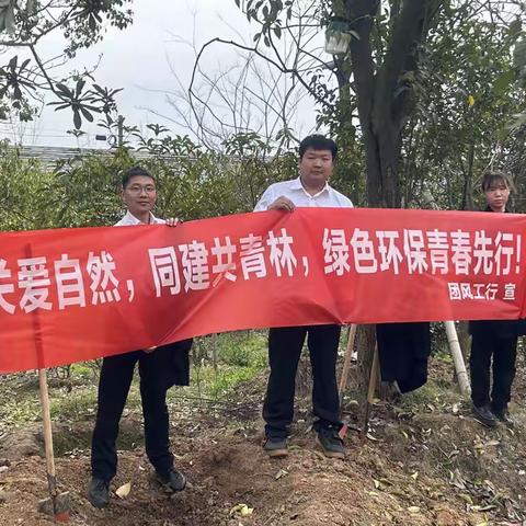 团风支行团支部植树节活动