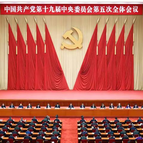 学习十九届五中全会精神