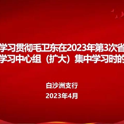 武汉白沙洲支行学习传达贯彻省分行党委书记毛卫东讲话精神