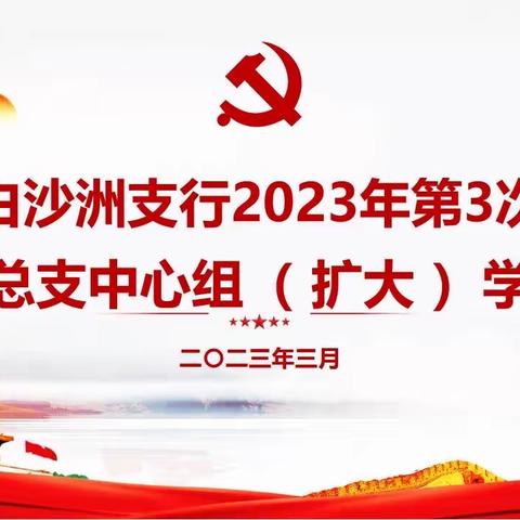 白沙洲支行开展 2023年第3次党总支中心组（扩大）学习