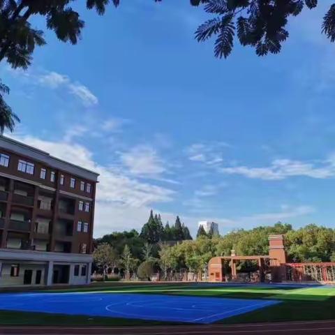 居家学习正当时，提升自我促发展，——记红钢城小学数学组英语组青年教师居家学习小结