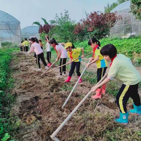 实践育人、劳动光荣