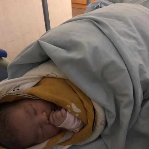 小二宝的成长记录