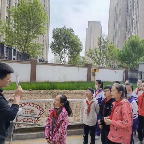 【二实小·劳作篇】五年级社会劳动实践——种棉花