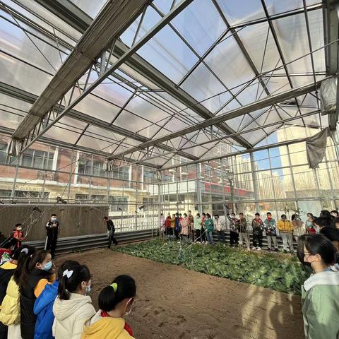 【二实小·活动篇】惊蛰至，万物生——小店二实验“二十四节气在校园”活动（一）（六年一班地豆播种活动）