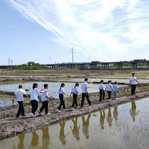 【二实验·活动篇】劳动播撒成长，种子孕育希望——小店二实验五年一班水稻种植活动