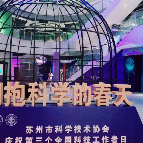 朱朱的快乐暑假