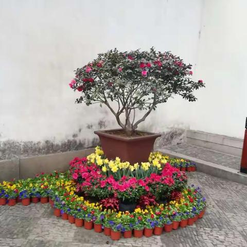 苏州行之留园小记