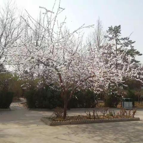 等闲识得东风面