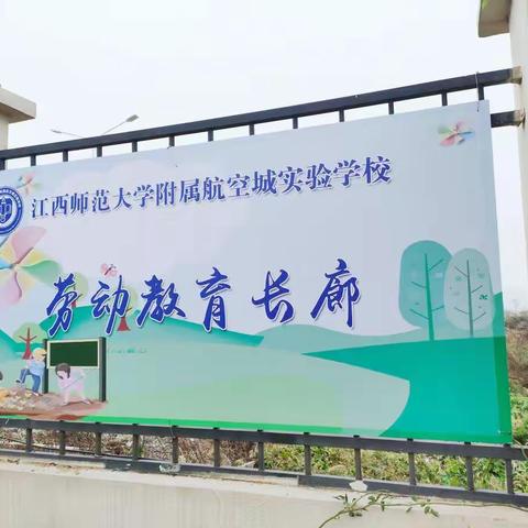 以实践劳动之力 点亮生活教育之美——江西师范大学附属航空城实验学校开展劳动美教育实践活动