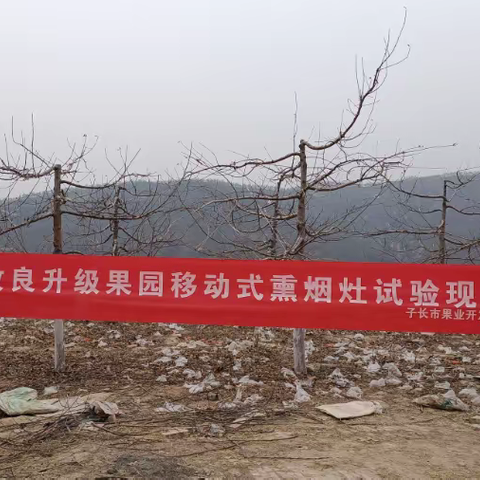 改良升级移动式熏烟灶屡试成效显著