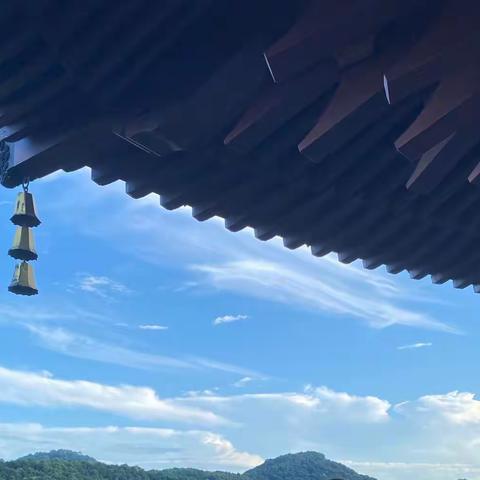 发现生活之美—息县三中特色实践作业