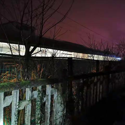 宜春所2月10日零点行动情况