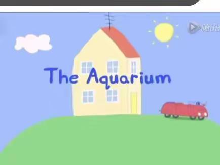 【185/200】221212Tracy复述S4E31the aquarium