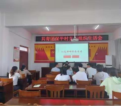 保平村团支部开展学习教育专题组织生活会