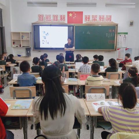 聚焦课堂共成长 专家引领促发展