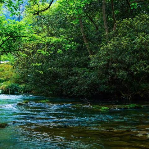 贵州、云南15日游