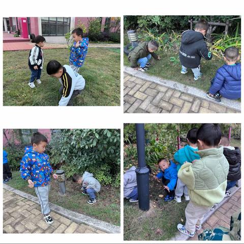 遇见秋天·遇见美