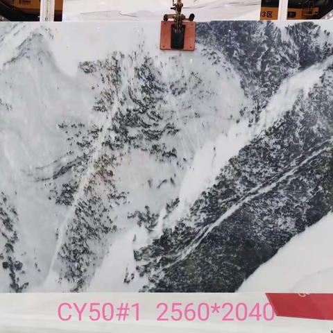 CY50