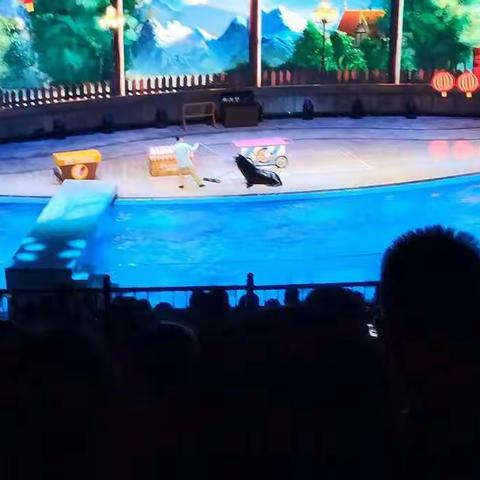 上海海昌海洋公园      三年2班刘韦兴