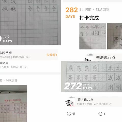 努力尽今夕 少年犹可夸-记东城街道文昌小学二年级二班习字展示