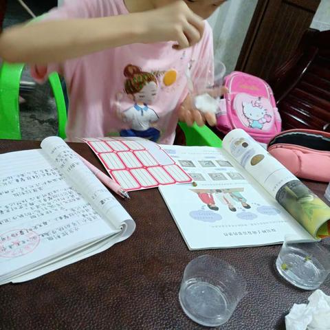 404班吴忧悠～探究种子的萌发