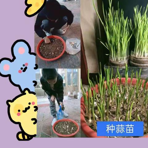 异样时光，同样精彩——上京学校三年级学习生活分享