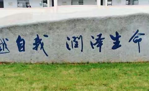 【浦江县黄宅镇初级中学】基于STEAM理念的跨学科综合运用能力培养： “自动浇水装置”的创作历程