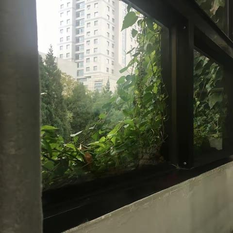 那年复读——请不要放弃任何一个迷惘的孩子