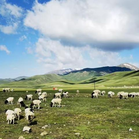 西域之旅圆梦新疆（下篇）