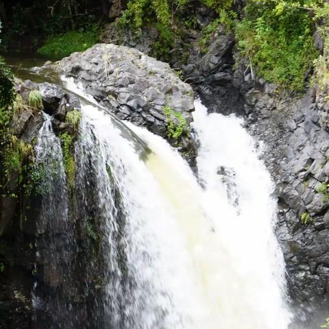 2019夏威夷茂宜岛旅游中篇