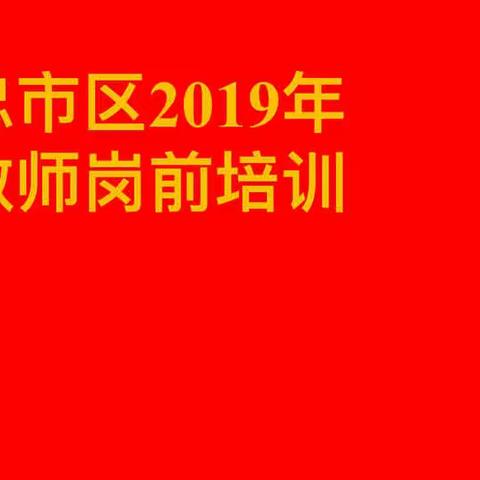 新教师 新起点 新希望——记吴忠市2019年新教师岗前培训