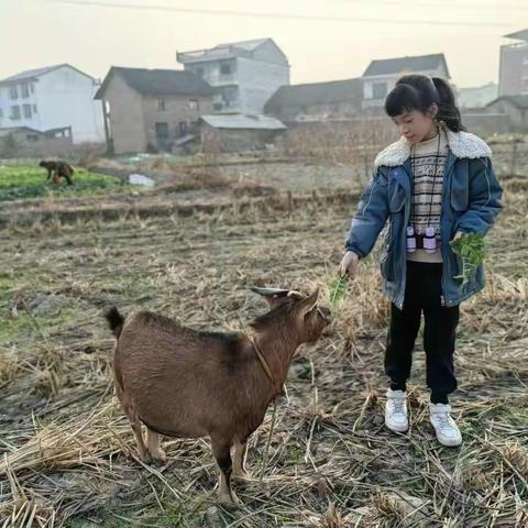 我的寒假生活