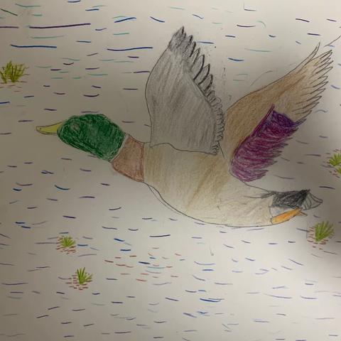 一6班《诗词大会》那些关于春天的诗