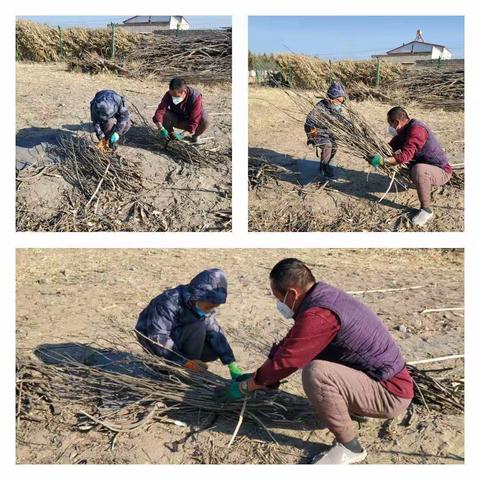 积极向上“文明兔”